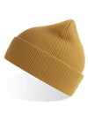 Atlantis Headwear Nelson Beanie