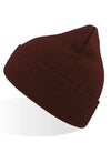Atlantis Headwear Eko Beanie