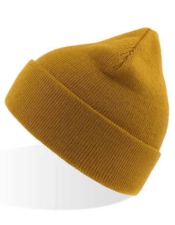 Atlantis Headwear Eko Beanie