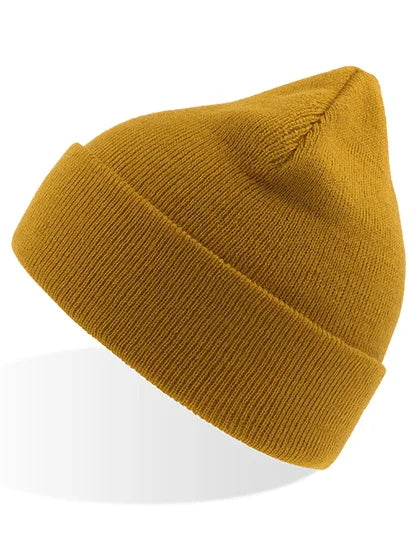 Atlantis Headwear Eko Beanie
