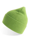 Atlantis Headwear Pure Beanie