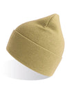 Atlantis Headwear Pure Beanie