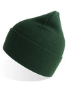Atlantis Headwear Pure Beanie