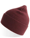 Atlantis Headwear Pure Beanie