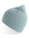 Atlantis Headwear Pure Beanie