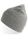 Atlantis Headwear Pure Beanie