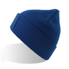 Atlantis - Wind-S Beanie with Patch (AT810)