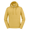 Russell Miesten huppari Authentic (265M)