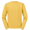 Russell Miesten collegepaita Authentic (262M)