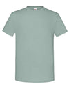 Fruit of the Loom T-paita Iconic (F130)