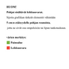 A - Rantalippu, tanko ja jalusta - 288 cm / Koko S / Muoto A (RL-SA)