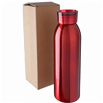 Ruostumattomasta teräksestä valmistettu yksiseinäinen juomapullo 650 ml Cindy