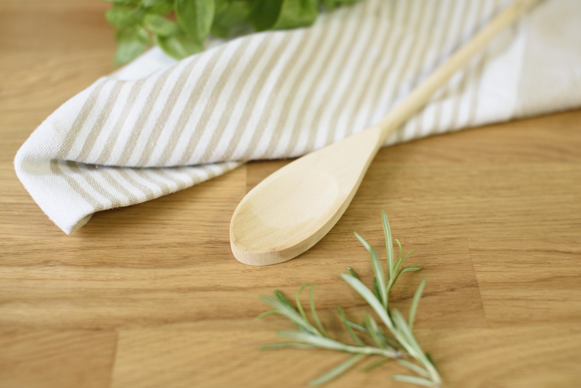 Canvas apron (450 gsm) Maria Default